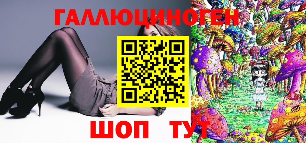 Псилоцибиновые грибы GOLDEN TEACHER Кулебаки